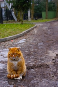 Сергей Иванов 