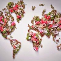 Ольга Прокопьева 