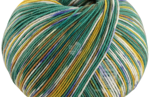 COOL WOOL 4 SOCKS print III, схема вязания на сайте Люди Вяжут