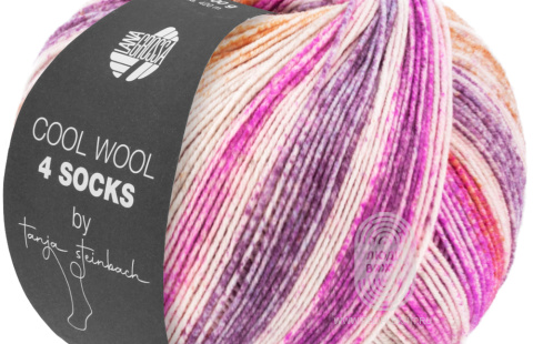 COOL WOOL 4 SOCKS print, схема вязания на сайте Люди Вяжут