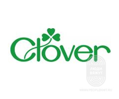 Clover