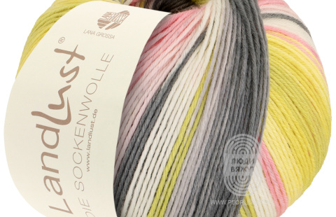 LANDLUST DIE SOCKENWOLLE VI 6-PLY 150 , схема вязания на сайте Люди Вяжут