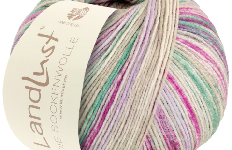 LANDLUST DIE SOCKENWOLLE VII 6-PLY 150 , схема вязания на сайте Люди Вяжут