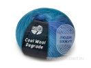 COOL WOOL degrade, схема вязания на сайте Люди Вяжут