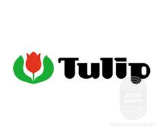 Tulip