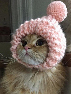 Татьяна Серых 