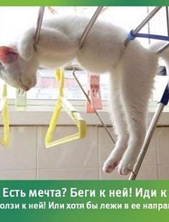 Юлия Иванова 