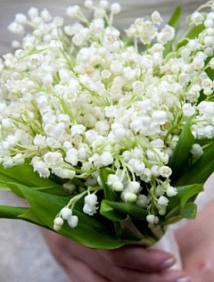 Юлия Ломтева 