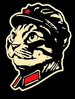 Юлия Мухаметова 