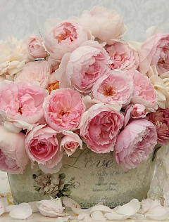 Mary_mak